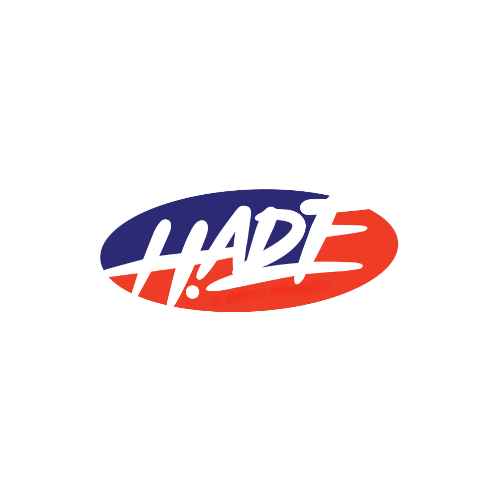 Vtbe Hade Ametory Foundation